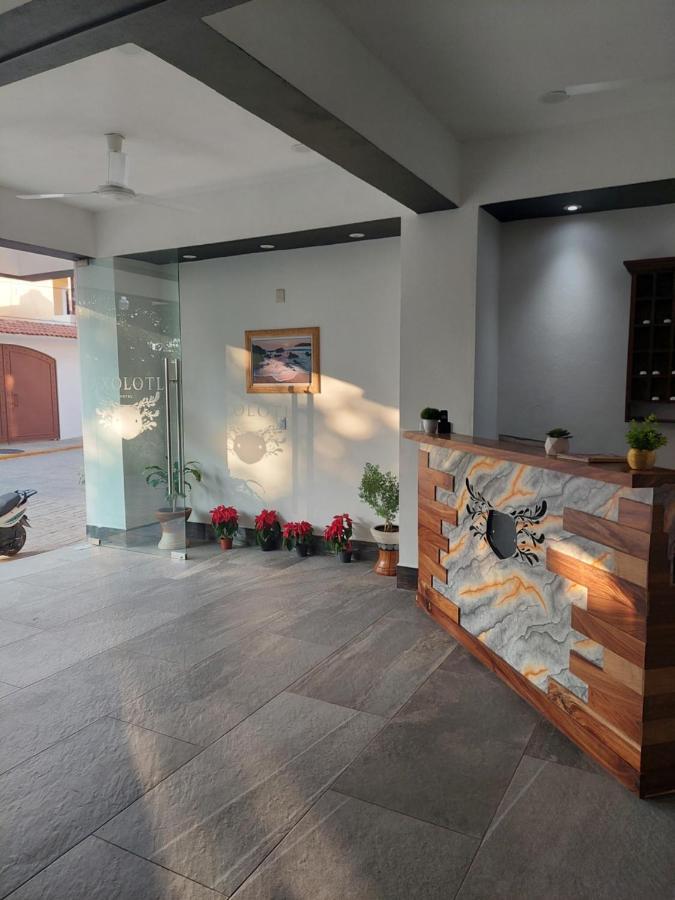 Hotel Axolotl Puerto Escondido  Kültér fotó