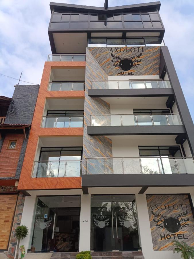 Hotel Axolotl Puerto Escondido  Kültér fotó