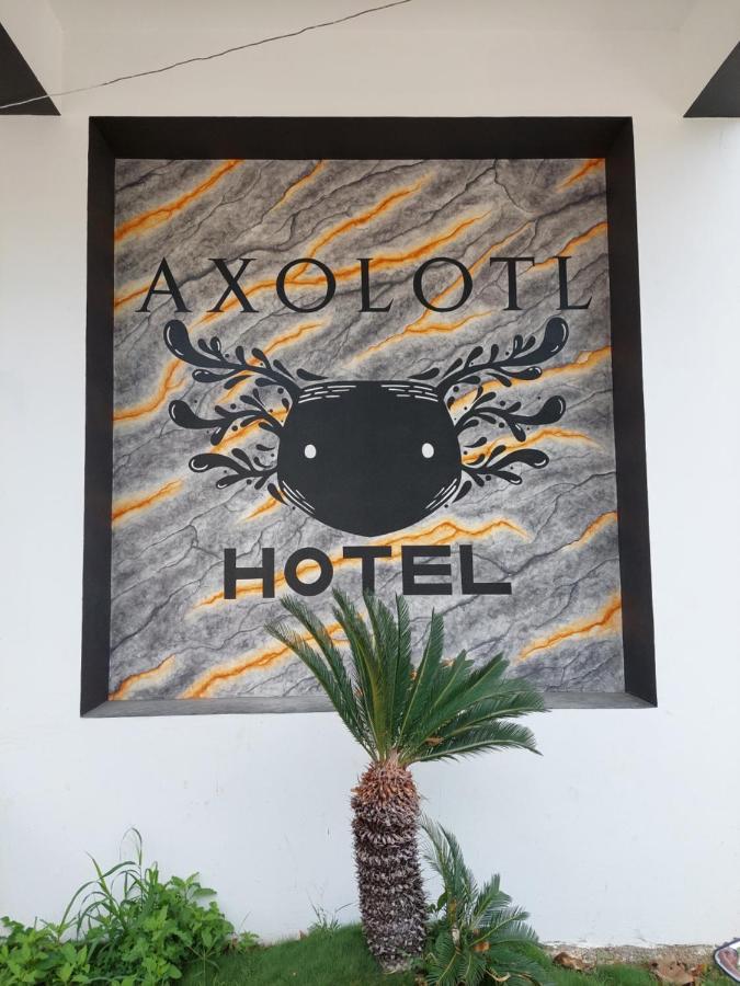 Hotel Axolotl Puerto Escondido  Kültér fotó